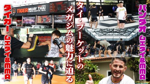 MMA探訪記〜タイ編 01〜タイ・プーケットのメガジムの魅力に迫る